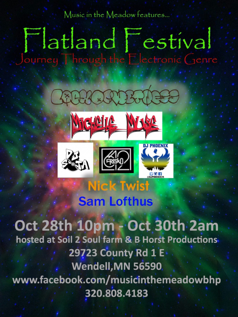 Flatland Festival - Journey Through the Electronic Genre